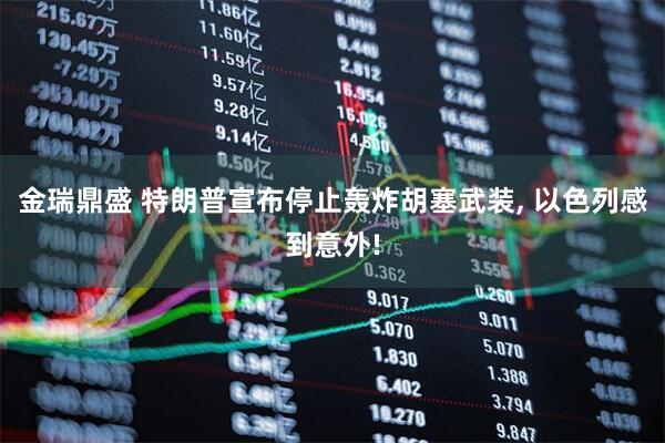 金瑞鼎盛 特朗普宣布停止轰炸胡塞武装, 以色列感到意外!
