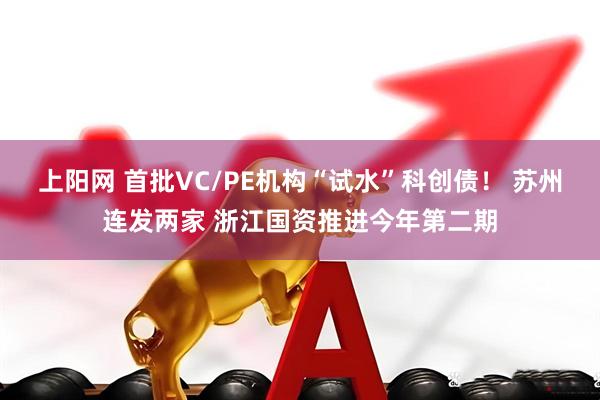 上阳网 首批VC/PE机构“试水”科创债！ 苏州连发两家 浙江国资推进今年第二期