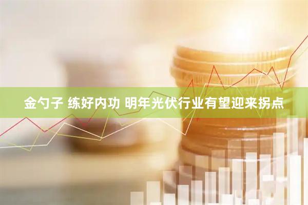 金勺子 练好内功 明年光伏行业有望迎来拐点