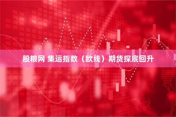 股粮网 集运指数（欧线）期货探底回升