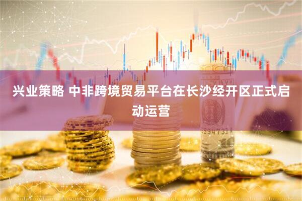兴业策略 中非跨境贸易平台在长沙经开区正式启动运营