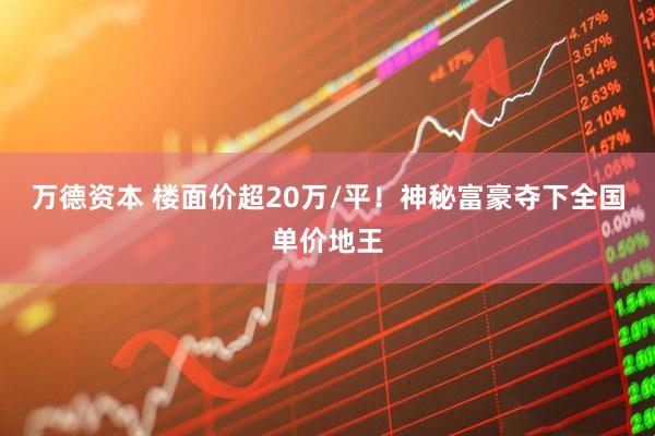 万德资本 楼面价超20万/平！神秘富豪夺下全国单价地王