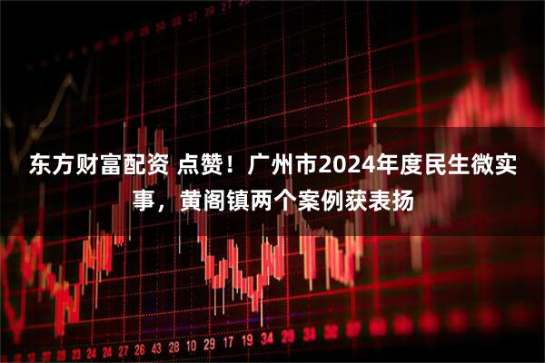东方财富配资 点赞！广州市2024年度民生微实事，黄阁镇两个案例获表扬