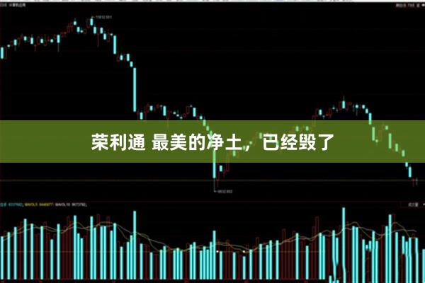 荣利通 最美的净土，已经毁了