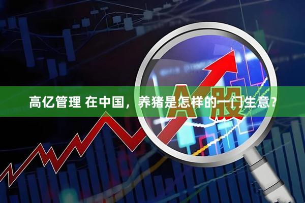 高亿管理 在中国，养猪是怎样的一门生意？