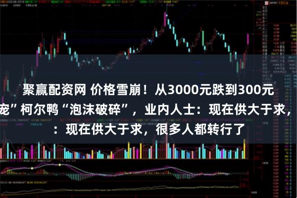 聚赢配资网 价格雪崩！从3000元跌到300元，昔日“网红萌宠”柯尔鸭“泡沫破碎”，业内人士：现在供大于求，很多人都转行了