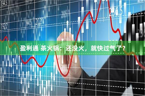 盈利通 茶火锅：还没火，就快过气了？
