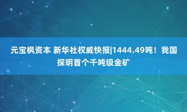 元宝枫资本 新华社权威快报|1444.49吨！我国探明首个千吨级金矿