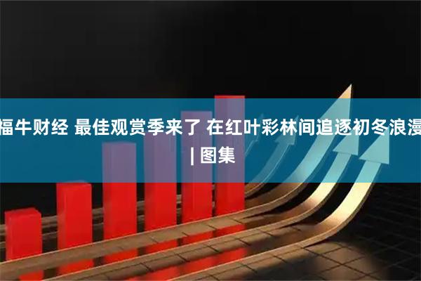 福牛财经 最佳观赏季来了 在红叶彩林间追逐初冬浪漫 | 图集