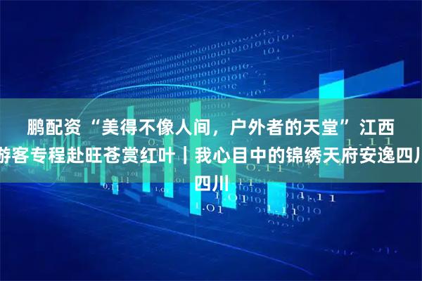 鹏配资 “美得不像人间，户外者的天堂” 江西游客专程赴旺苍赏红叶｜我心目中的锦绣天府安逸四川