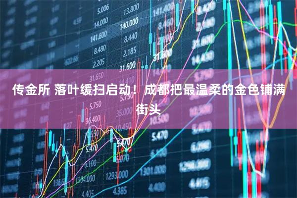 传金所 落叶缓扫启动！成都把最温柔的金色铺满街头