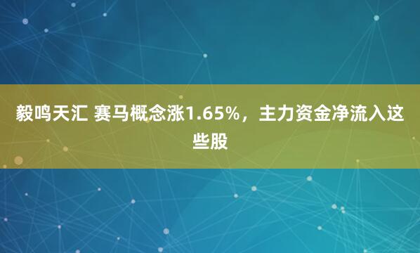 毅鸣天汇 赛马概念涨1.65%，主力资金净流入这些股