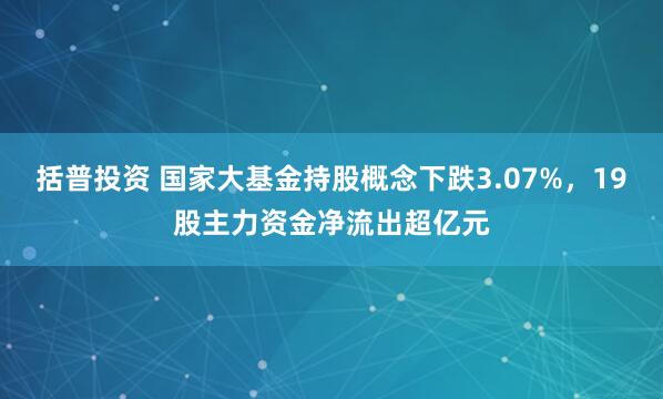 括普投资 国家大基金持股概念下跌3.07%，19股主力资金净流出超亿元